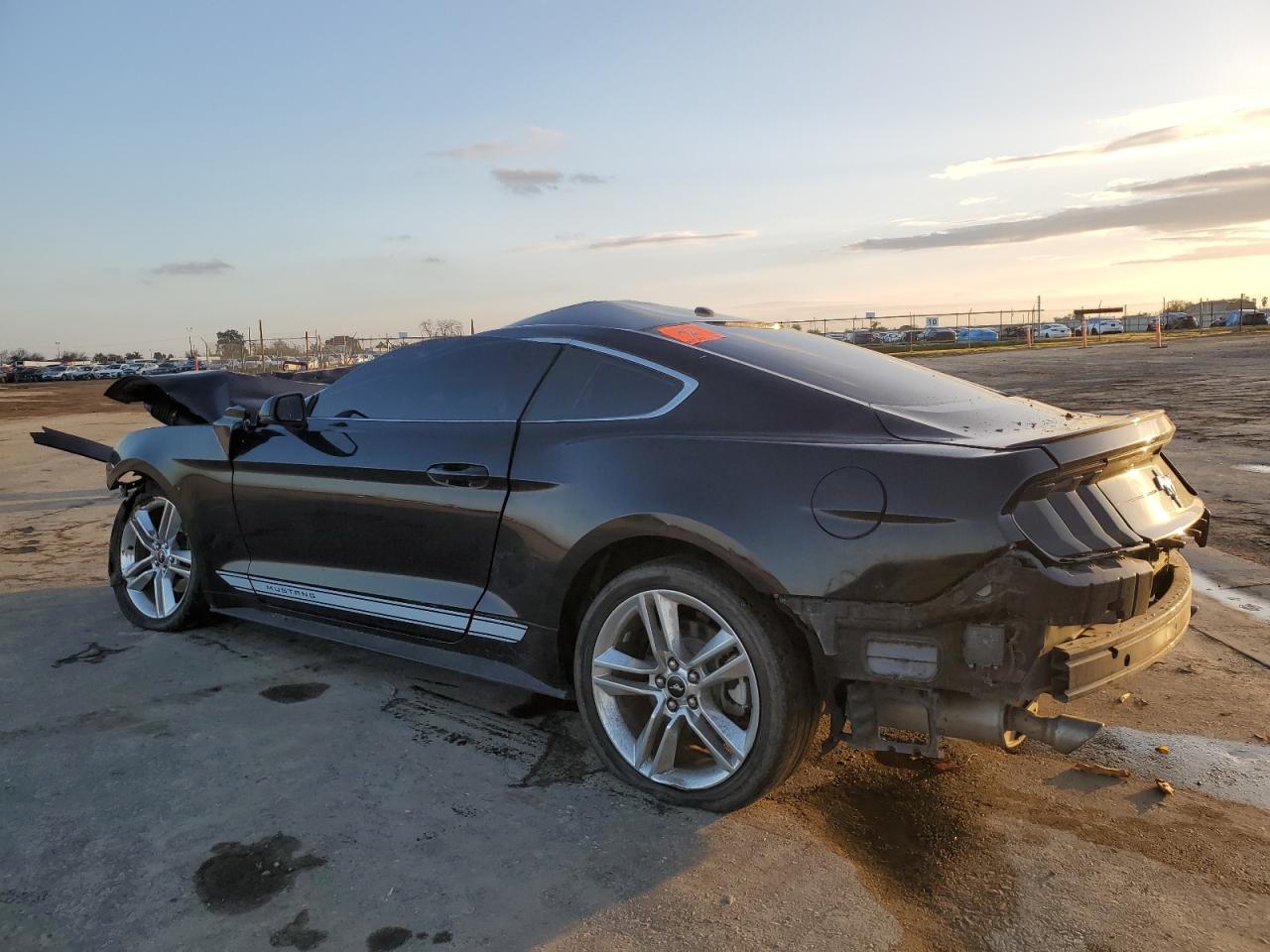 2019 Ford Mustang VIN 1FA6P8TH7K5143917 Copart auction photo, all over damage thumbnail 2