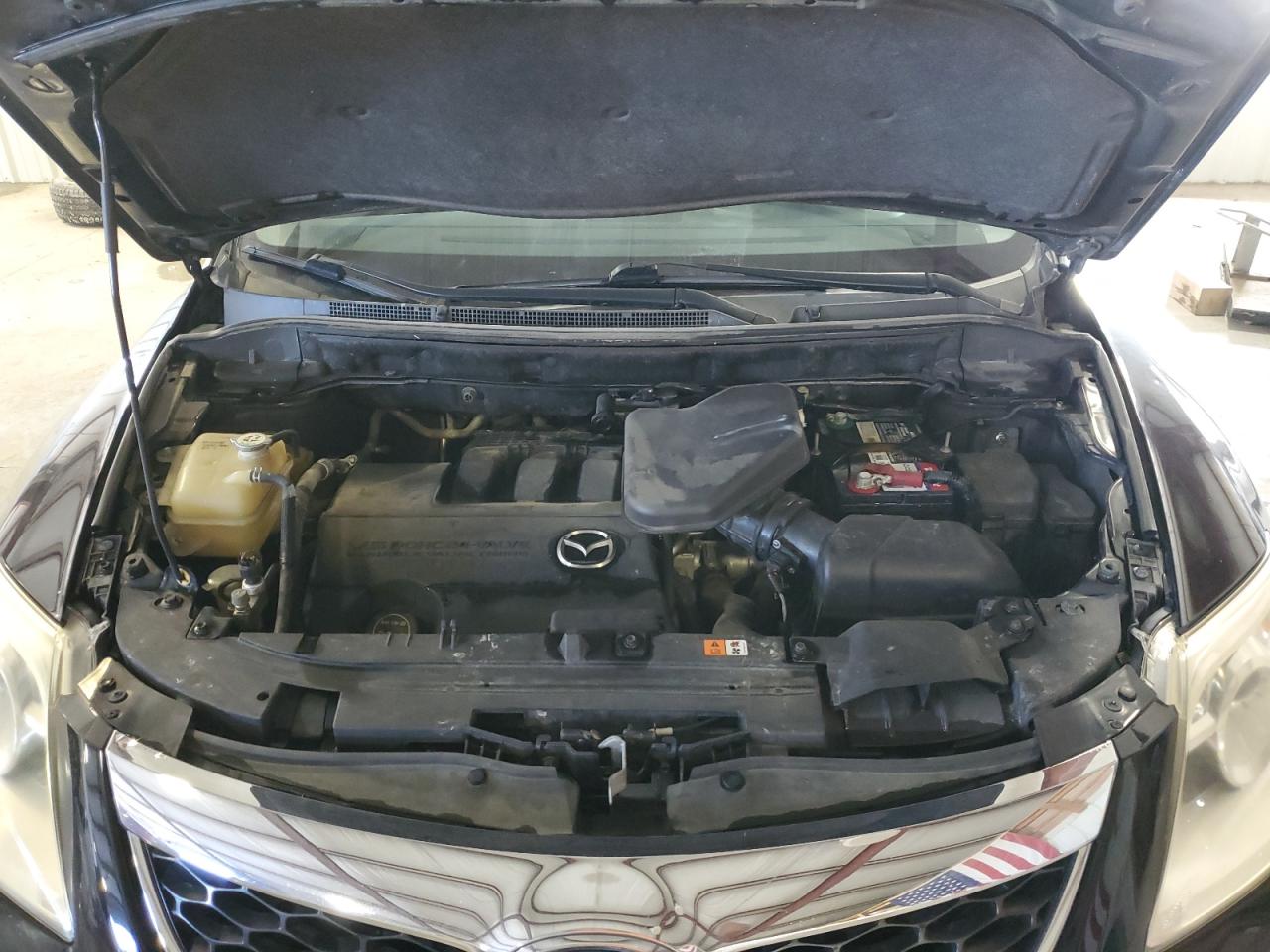 2012 Mazda CX-9 VIN JM3TB2BA8C0338699 Copart auction photo, hail / minor dent/scratches damage thumbnail 12
