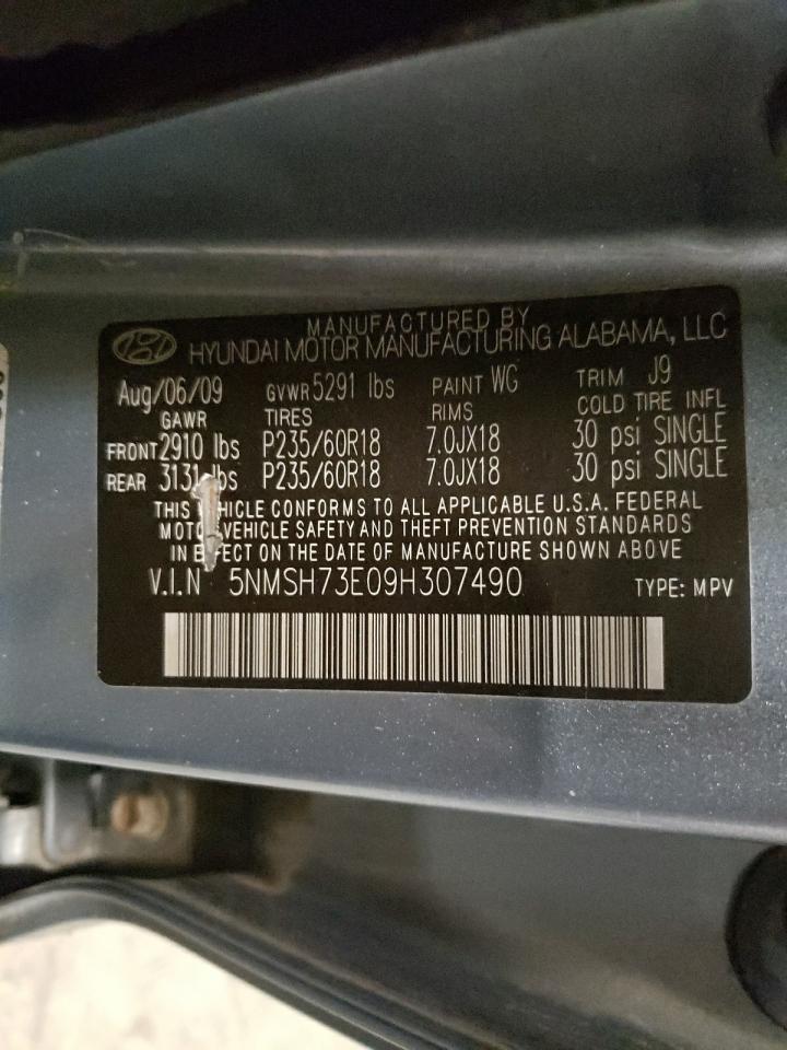 2009 Hyundai Santa Fe VIN 5NMSH73E09H307490 Copart auction photo, all over damage thumbnail 13