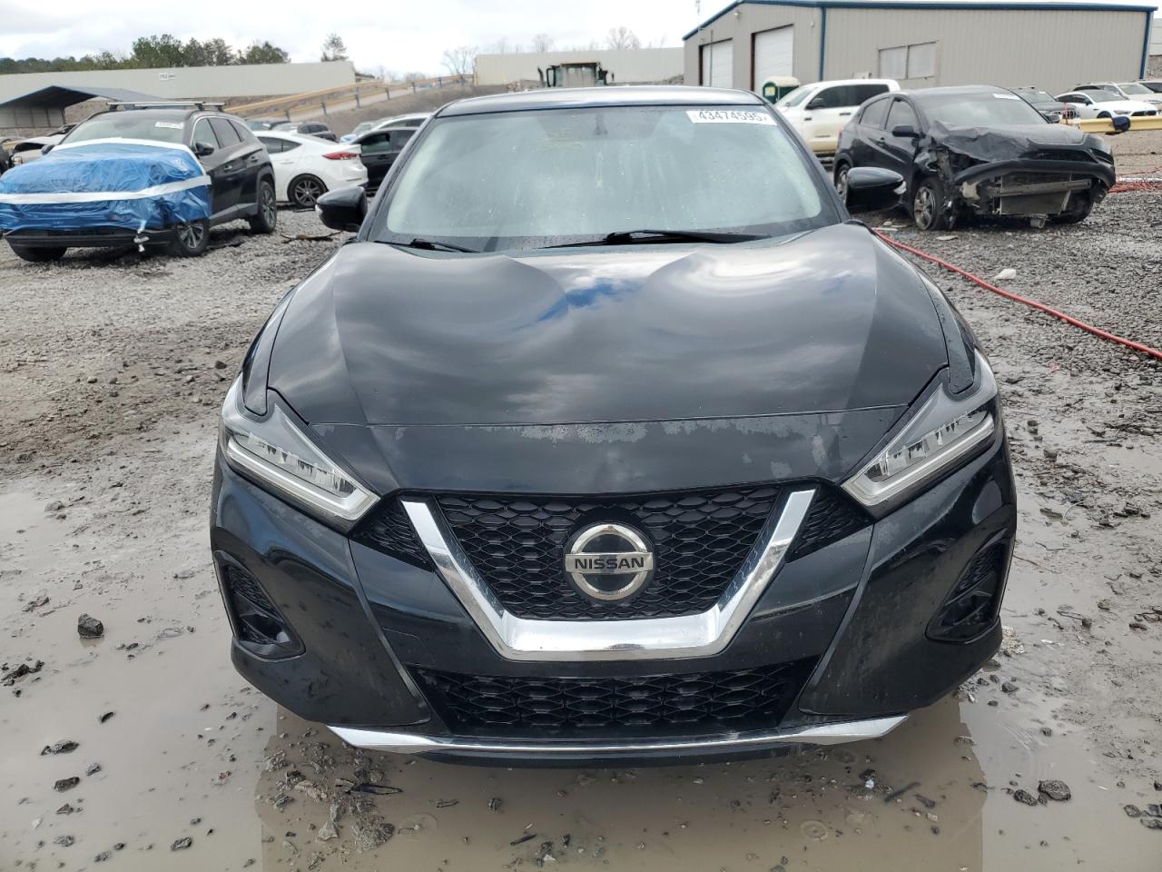 2019 Nissan Maxima VIN 1N4AA6AV1KC375255 Copart auction photo, rear end damage thumbnail 5