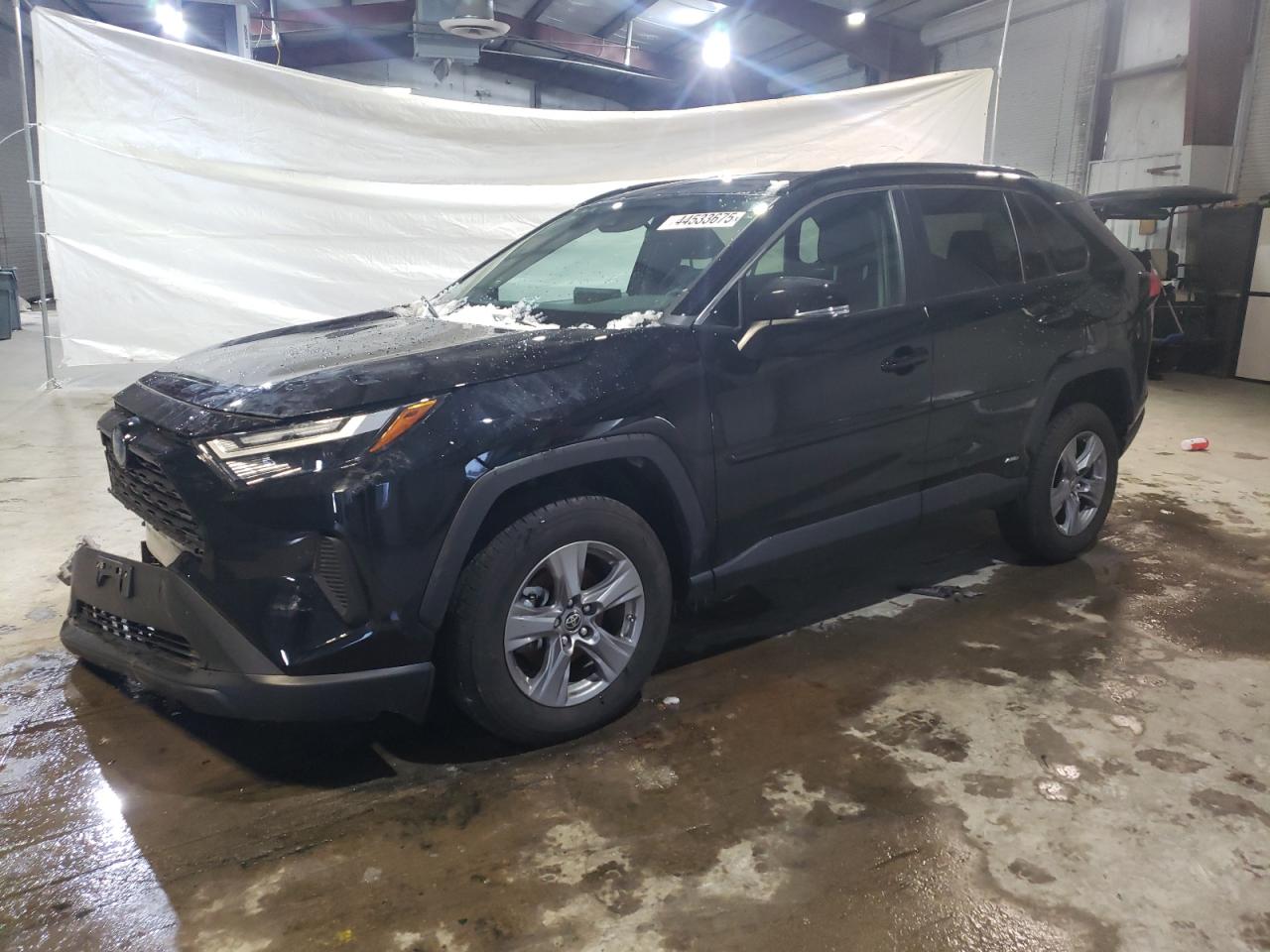 2023 Toyota RAV 4 VIN 4T3MWRFV5PU095409