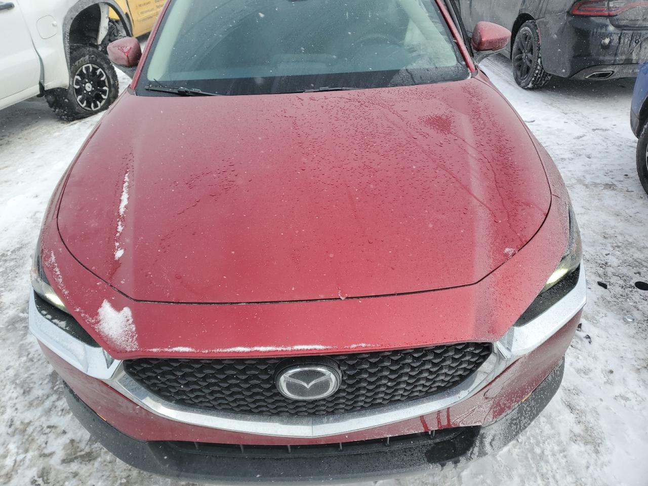 2020 Mazda CX-30 VIN 3MVDMBCLXLM128771 Copart auction photo, side damage thumbnail 13