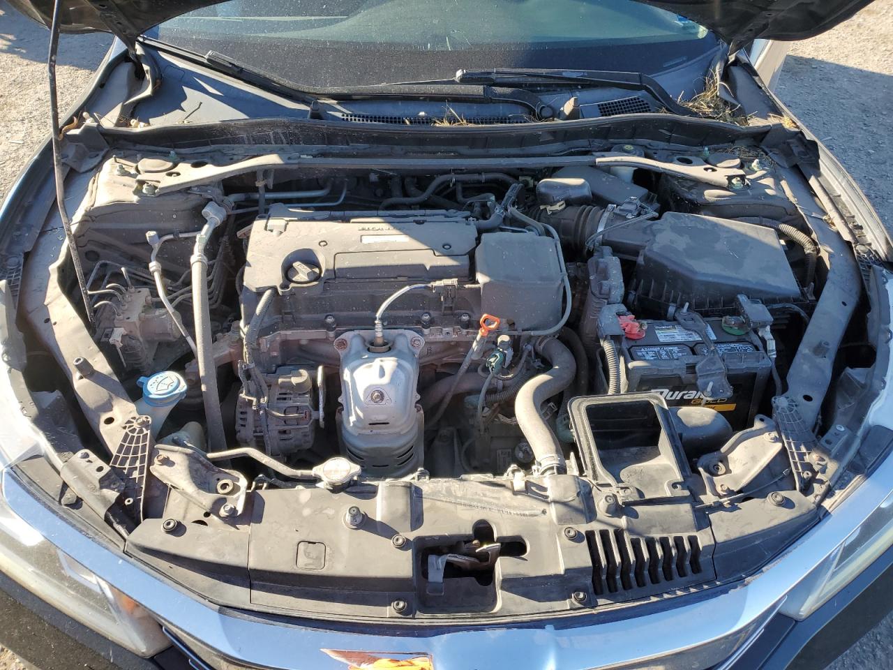 2017 Honda Accord VIN 1HGCR2F76HA067616 Copart auction photo, side damage thumbnail 11
