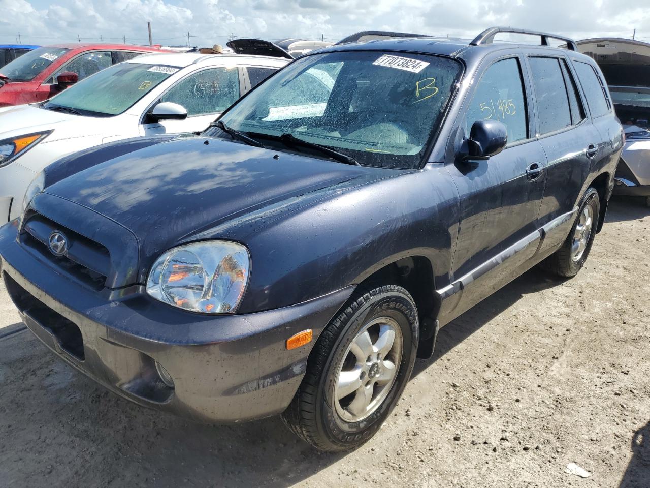 2005 Hyundai Santa Fe VIN KM8SC13D65U957846