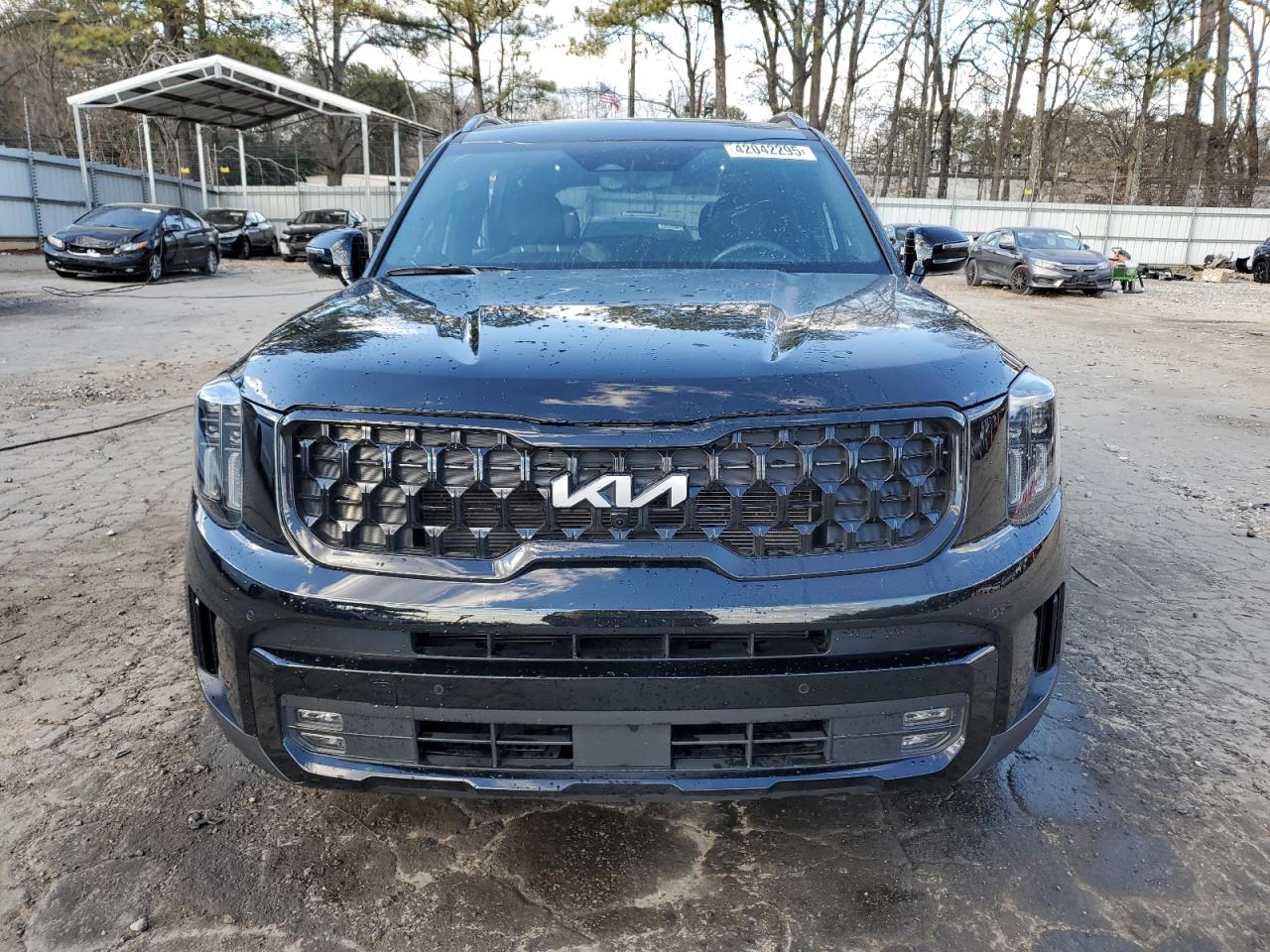 2024 KIA Telluride VIN 5XYP5DGC1RG481052 Copart auction photo, side / rear end damage thumbnail 5