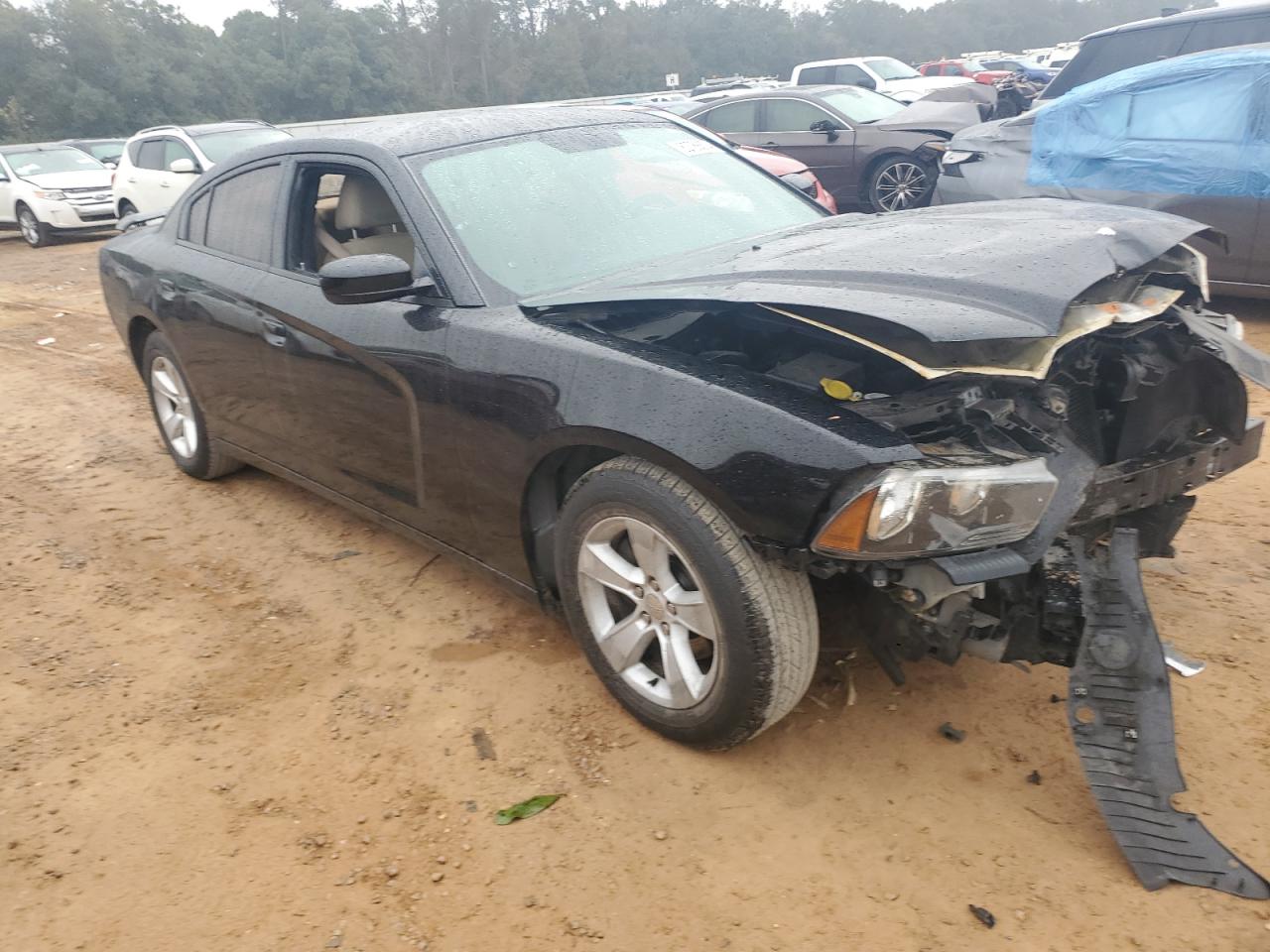 2013 Dodge Charger VIN 2C3CDXBG5DH601463 Copart auction photo, front end damage thumbnail 4