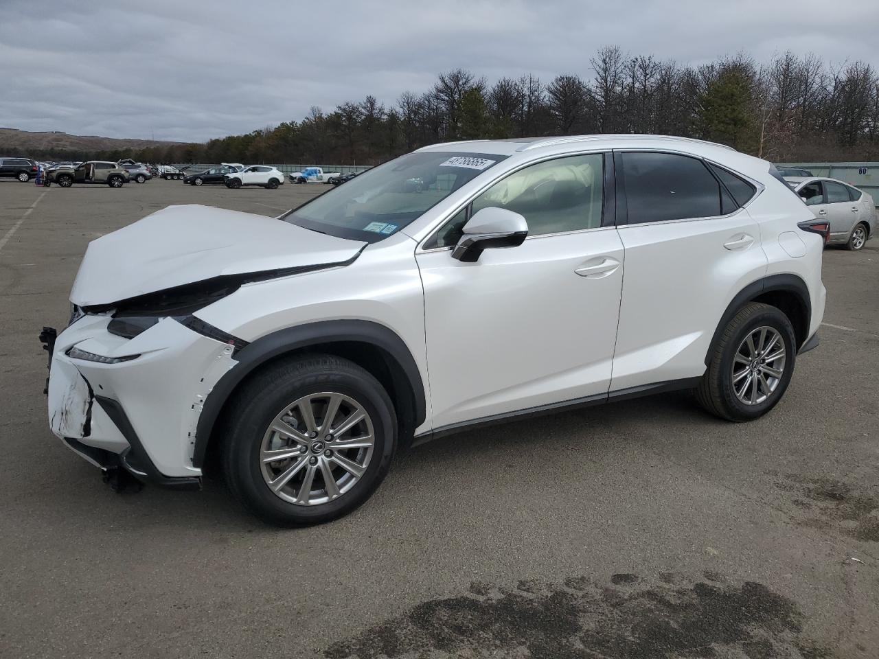 2021 Lexus NX VIN JTJDARDZXM5027272 - Copart auction photo