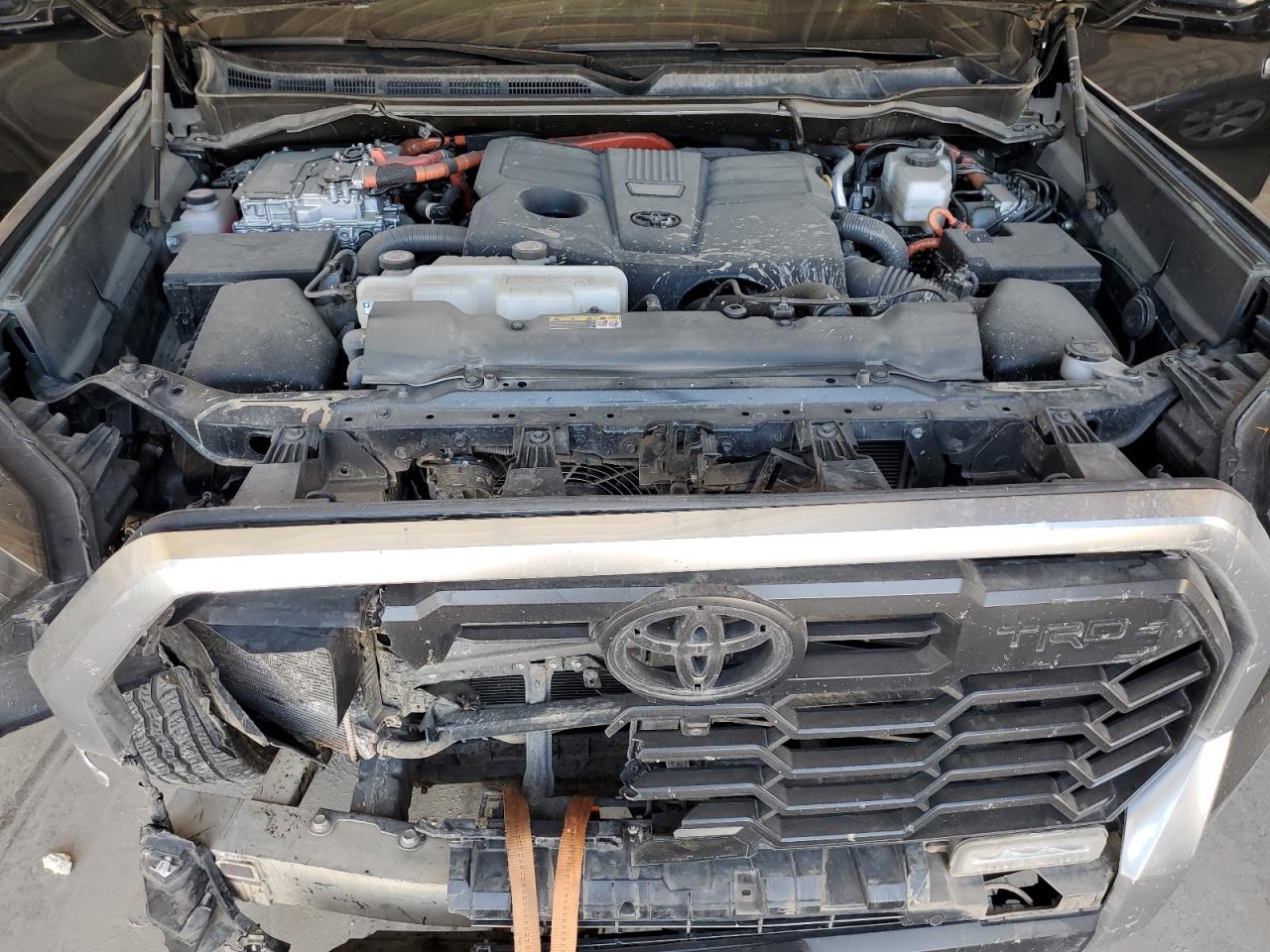2023 Toyota Tundra VIN 5TFJC5DB4PX021097 Copart auction photo, front end / hail damage thumbnail 13