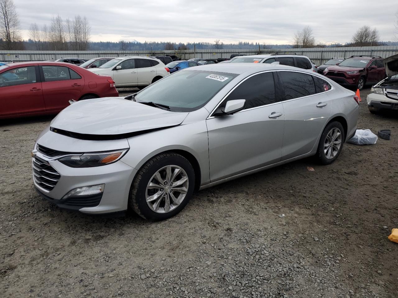 2019 Chevrolet Malibu VIN 1G1ZD5ST7KF178898