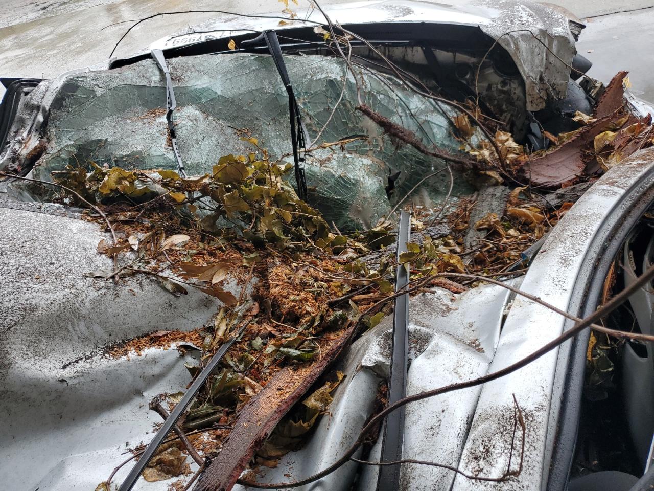 2011 Hyundai Elantra VIN 5NPDH4AE2BH014967 Copart auction photo, all over damage thumbnail 8