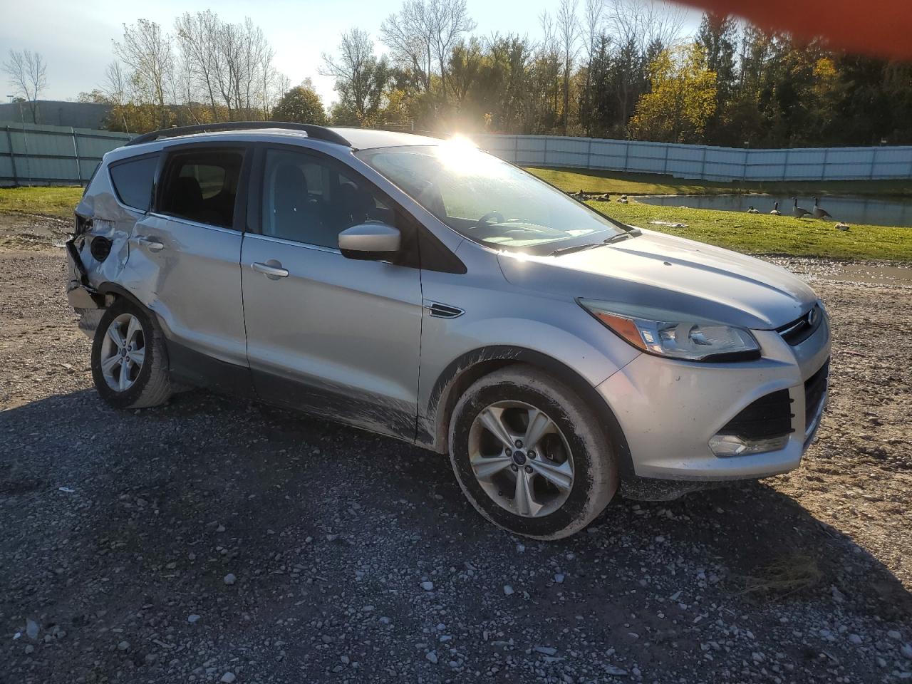 2014 Ford Escape VIN 1FMCU9GX5EUB25659 Copart auction photo, rear end / side damage thumbnail 4