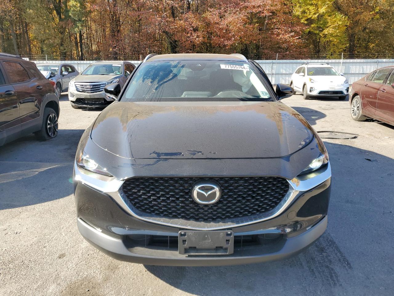 2023 Mazda CX-30 VIN 3MVDMBCM1PM554671 Copart auction photo, side damage thumbnail 5