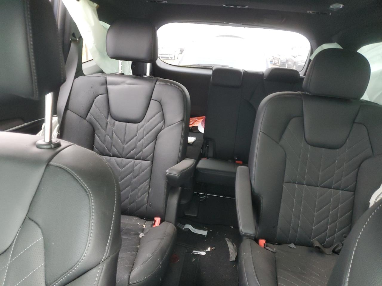 2024 KIA Telluride VIN 5XYP5DGC0RG441433 Copart auction photo, all over damage thumbnail 10
