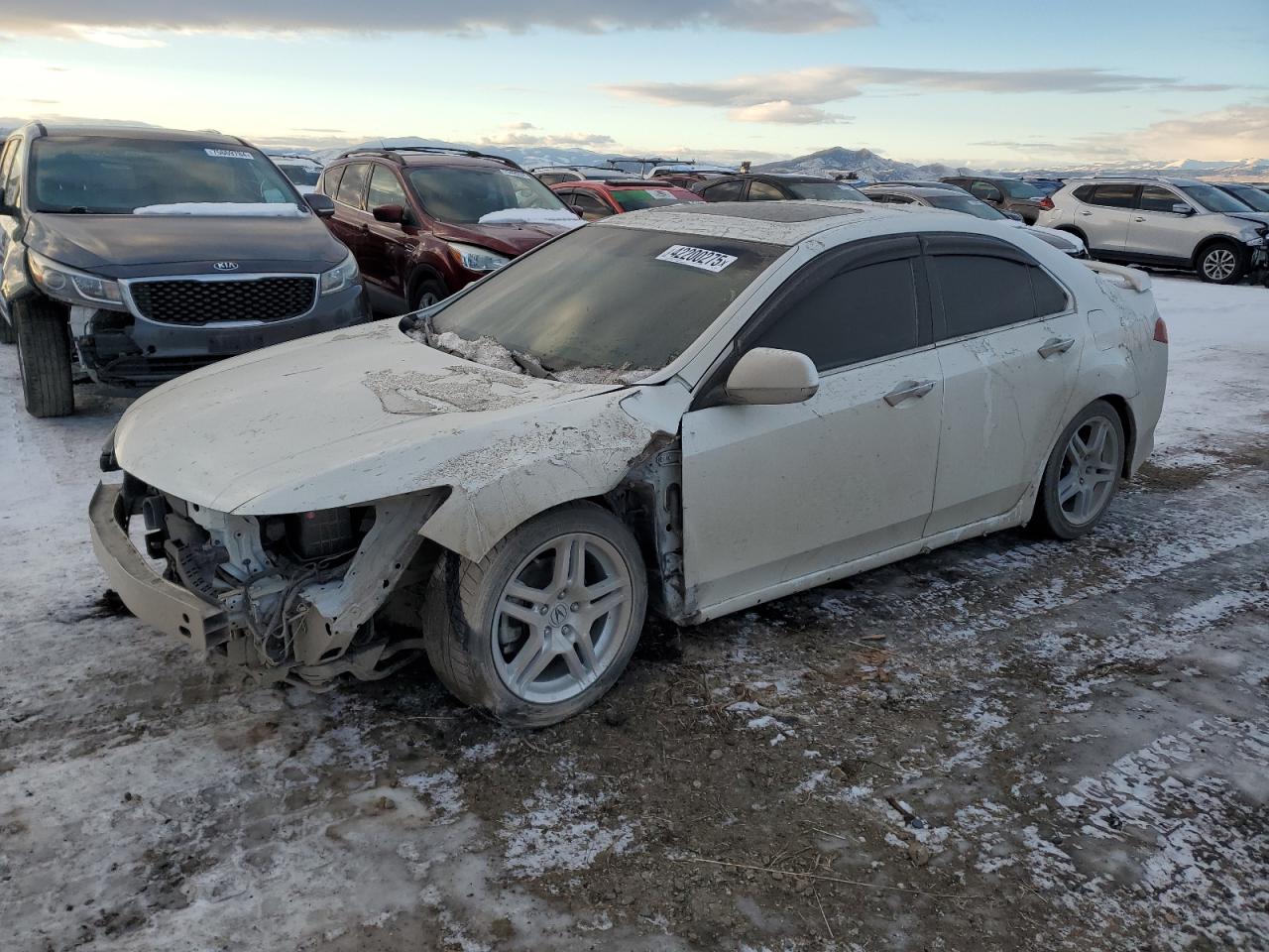2013 Acura TSX VIN JH4CU2F86DC003787