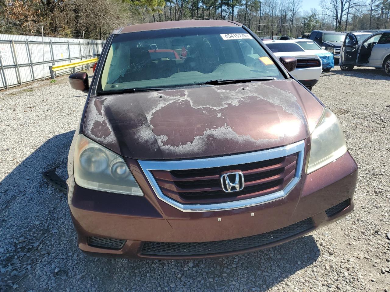 2009 Honda Odyssey VIN 5FNRL38459B407608 Copart auction photo, rear end damage thumbnail 5