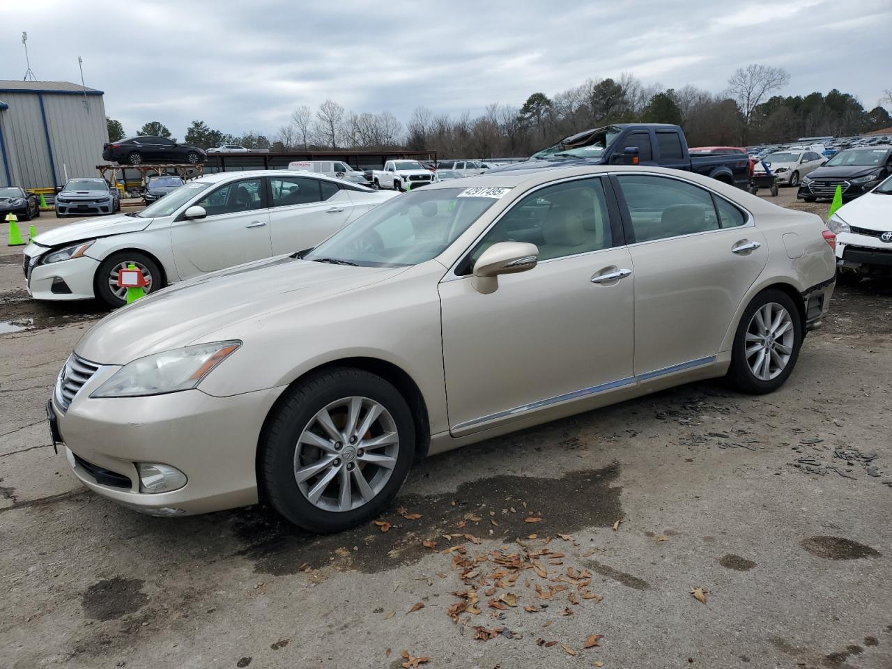 2010 Lexus ES VIN JTHBK1EG8A2407275