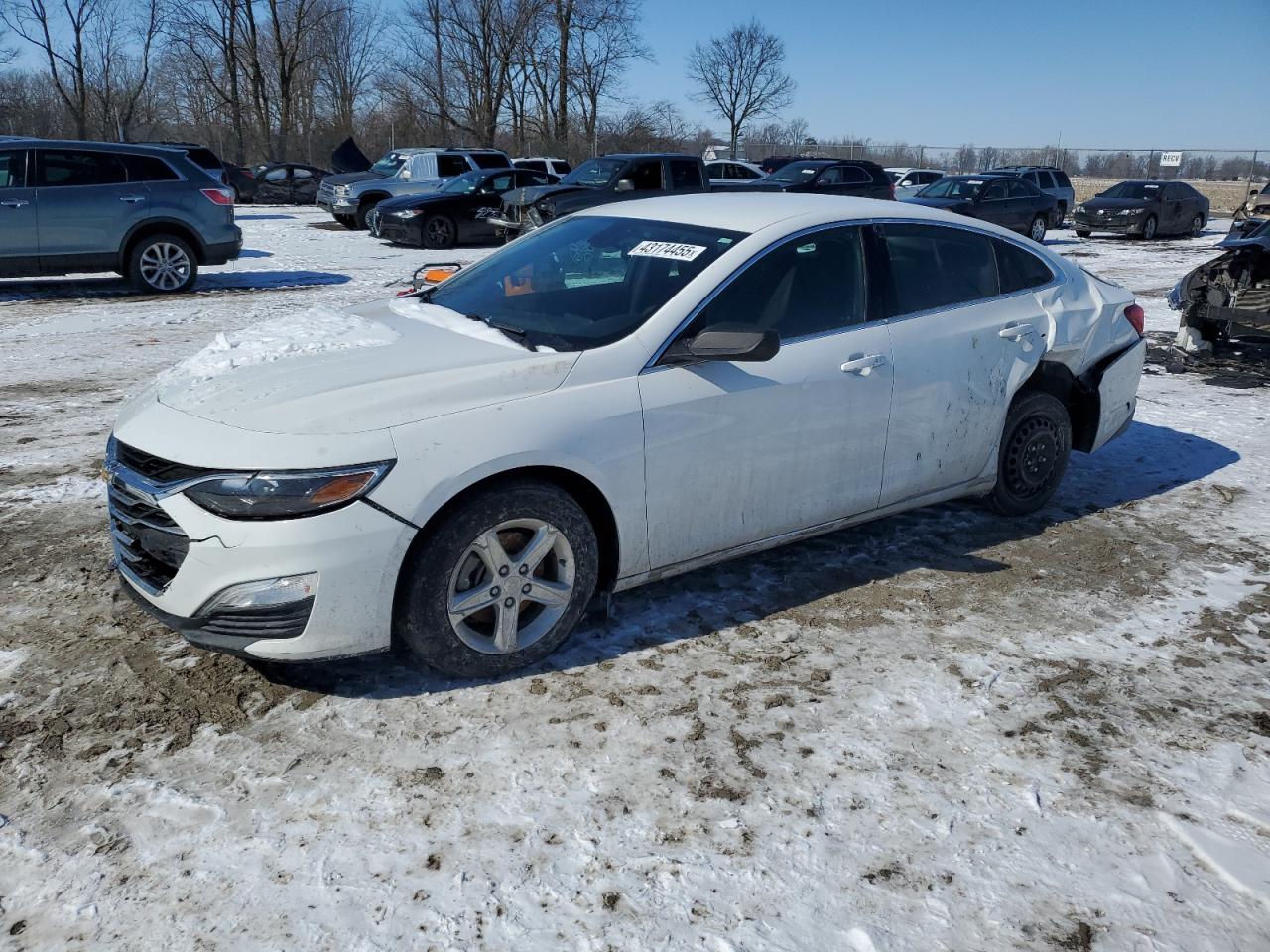 2019 Chevrolet Malibu VIN 1G1ZB5ST1KF127757 - Copart auction photo