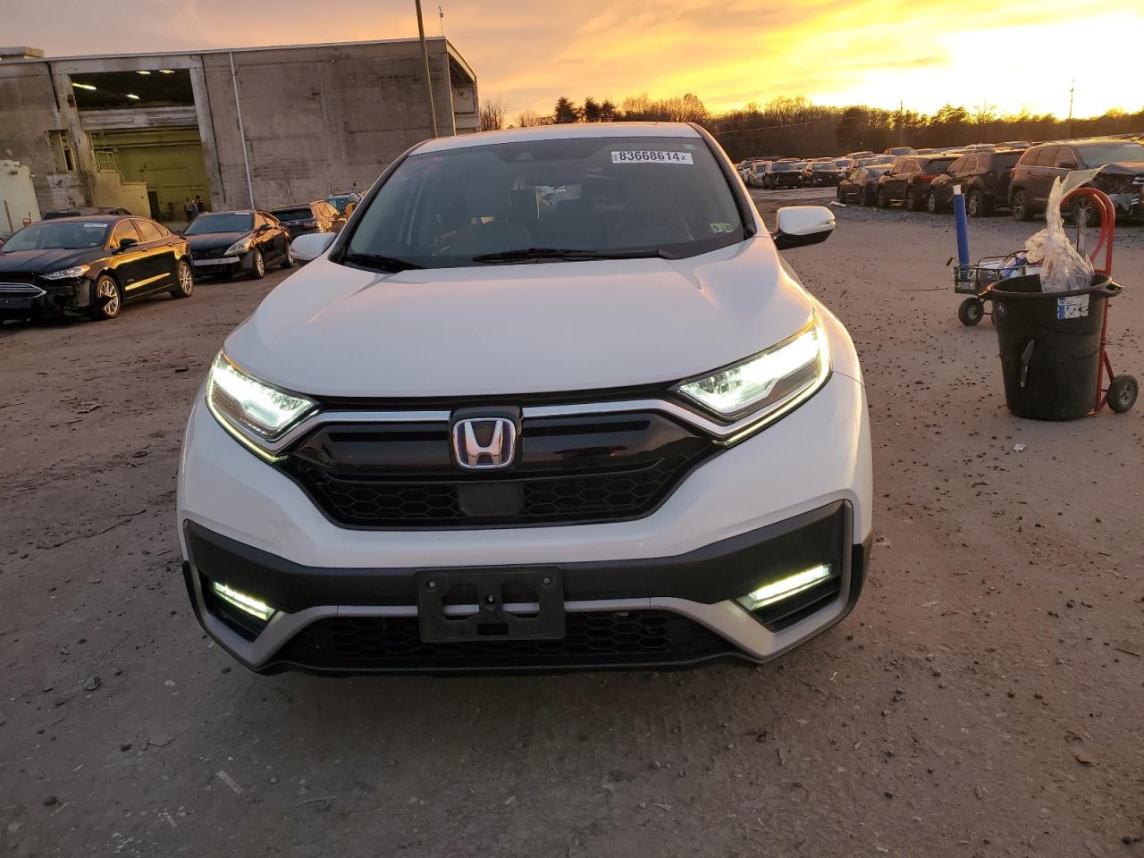 2020 Honda CR-V VIN 7FART6H81LE013152 Copart auction photo, rear end / minor dent/scratches damage thumbnail 5