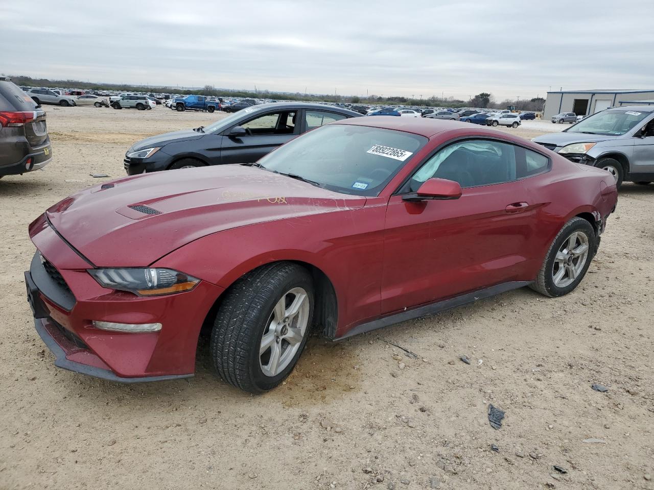 2019 Ford Mustang VIN 1FA6P8THXK5157813