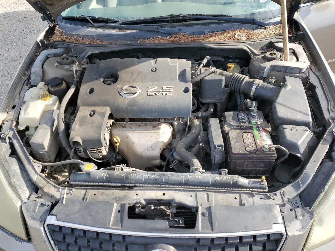 2005 Nissan Altima VIN 1N4AL11D55C275779 Copart auction photo, rear end / minor dent/scratches damage thumbnail 12