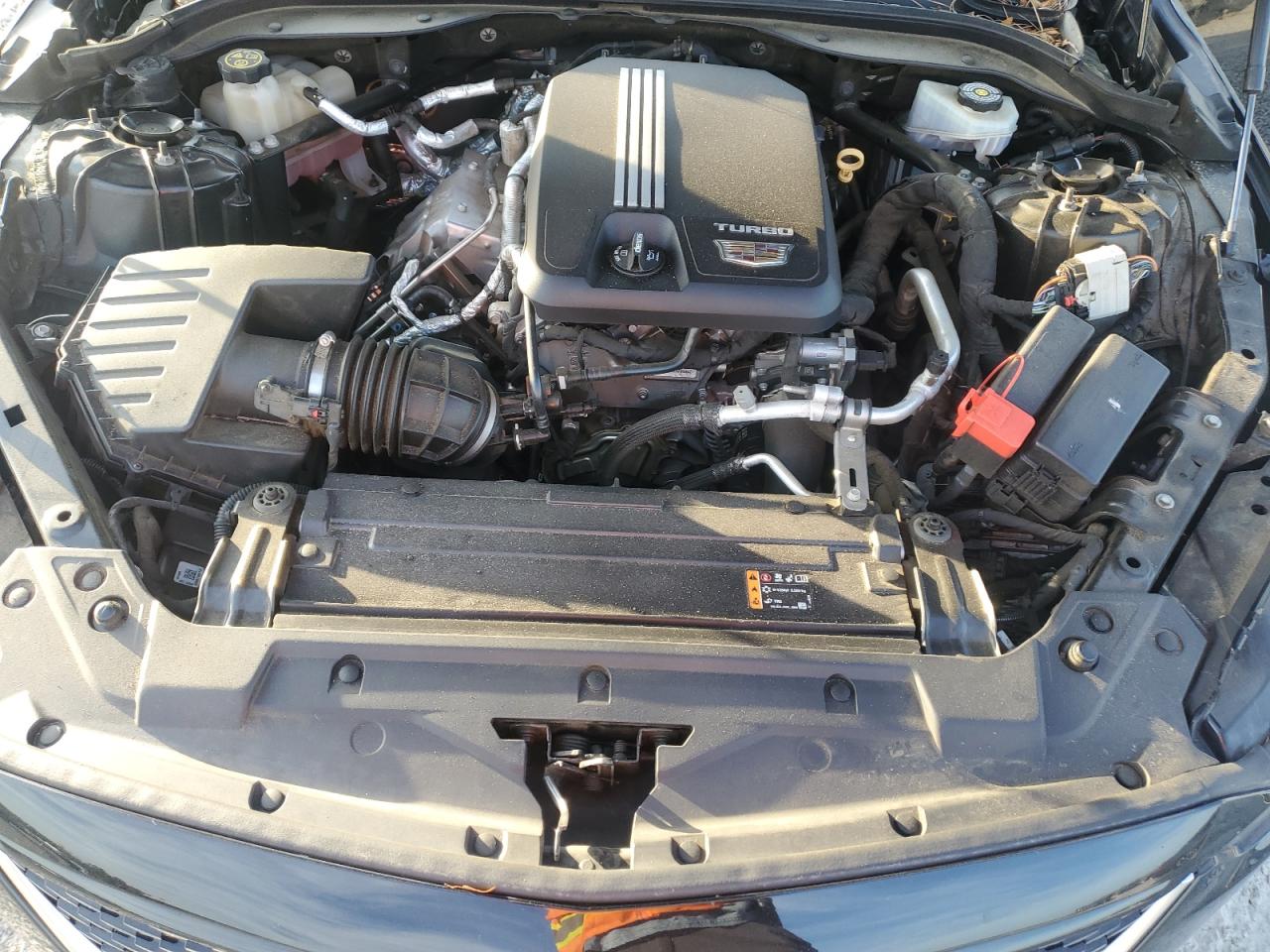 2020 Cadillac CT5 VIN 1G6DN5RK8L0114467 Copart auction photo, rear end damage thumbnail 11