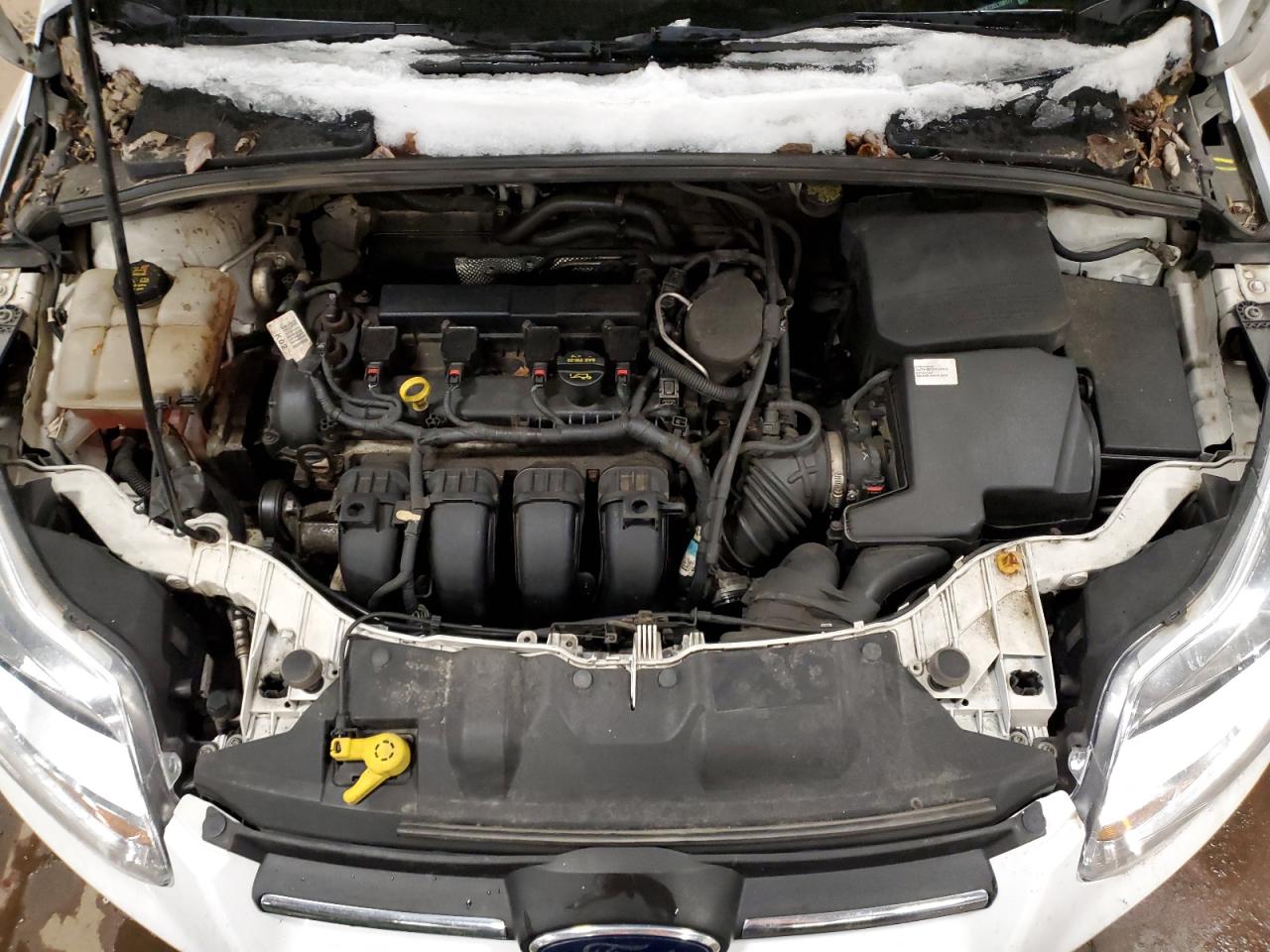 2014 Ford Focus VIN 1FADP3F23EL108177 Copart auction photo, rear end / side damage thumbnail 11