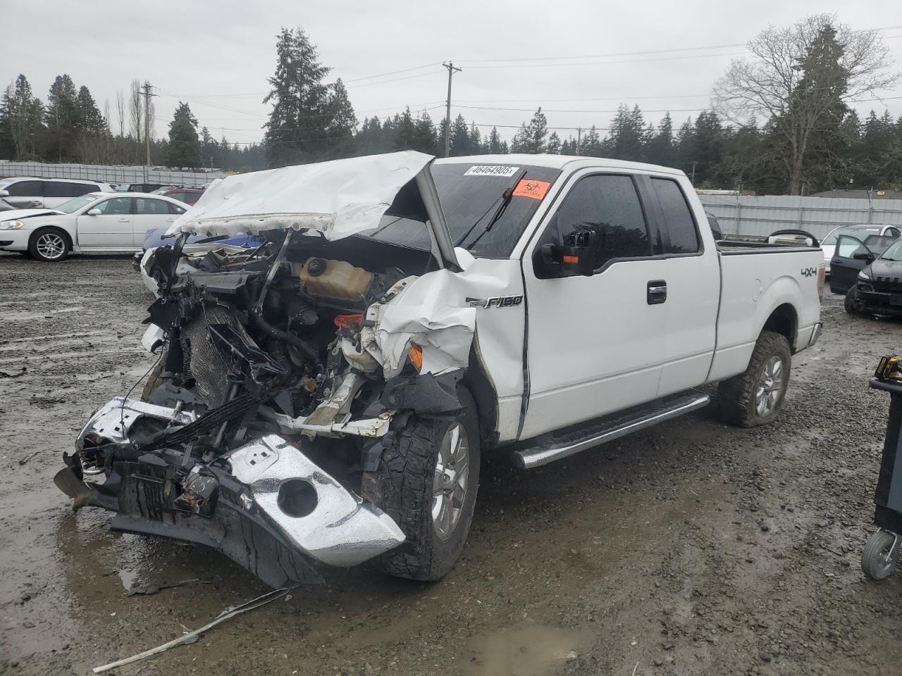2013 Ford F-150 VIN 1FTFX1EF9DFA66624