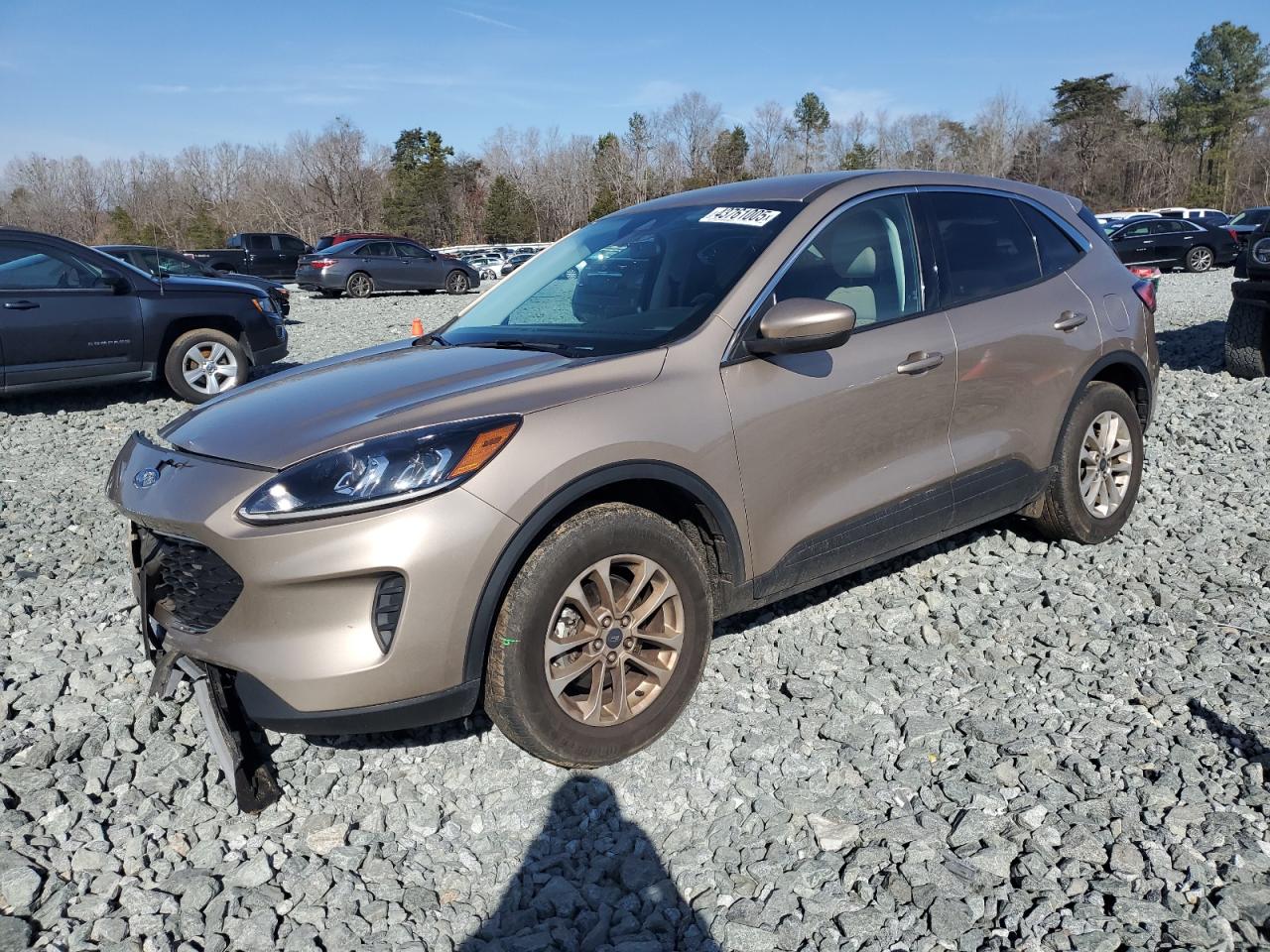 2021 Ford Escape VIN 1FMCU9G6XMUA06480