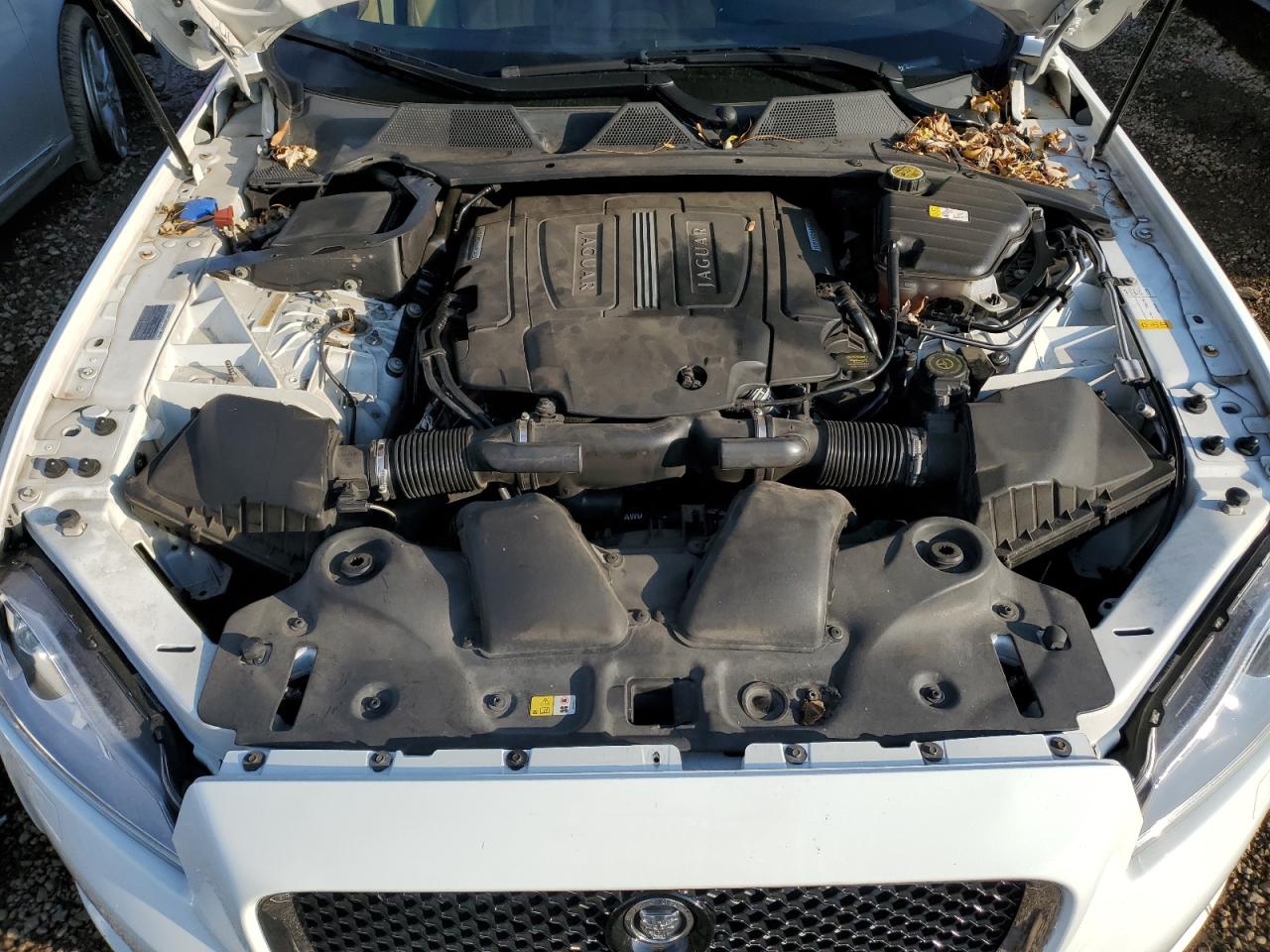 2013 Jaguar XJ VIN SAJWJ1CD6D8V50968 Copart auction photo, rear end damage thumbnail 11