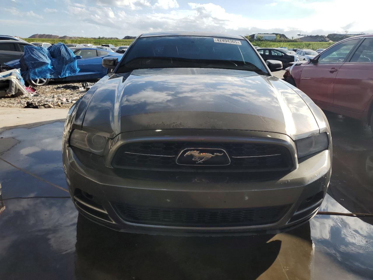 2014 Ford Mustang VIN 1ZVBP8AM5E5288643 Copart auction photo, side / minor dent/scratches damage thumbnail 5