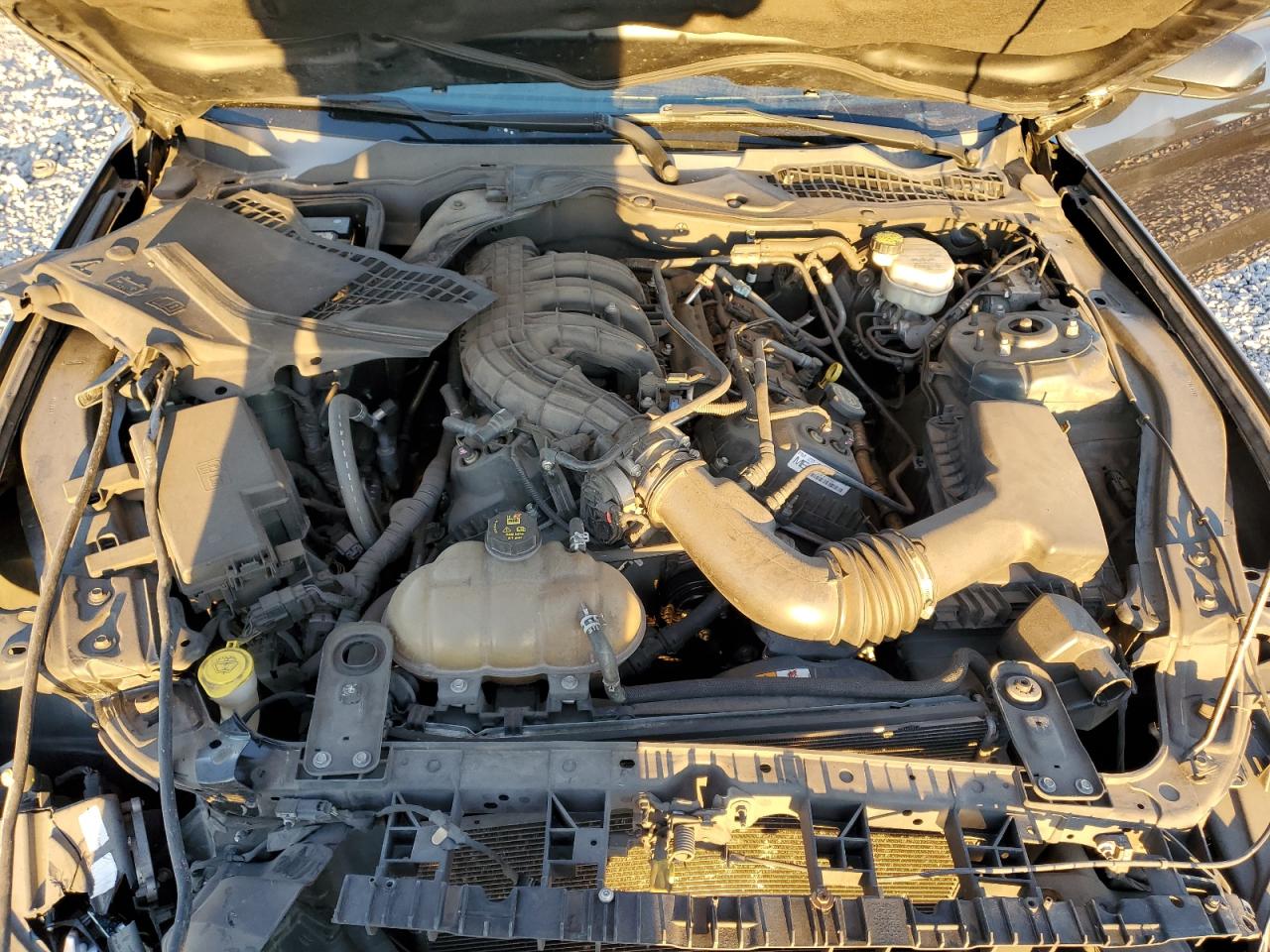 2015 Ford Mustang VIN 1FA6P8AM4F5398885 Copart auction photo, front end damage thumbnail 11