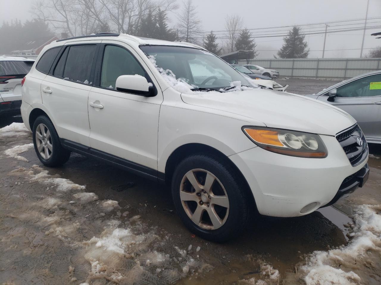 2007 Hyundai Santa Fe VIN 5NMSH13E57H096622 Copart auction photo, normal wear damage thumbnail 4