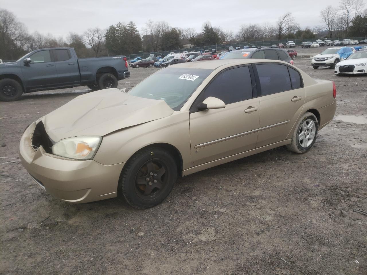2006 Chevrolet Malibu VIN 1G1ZT53F26F123907