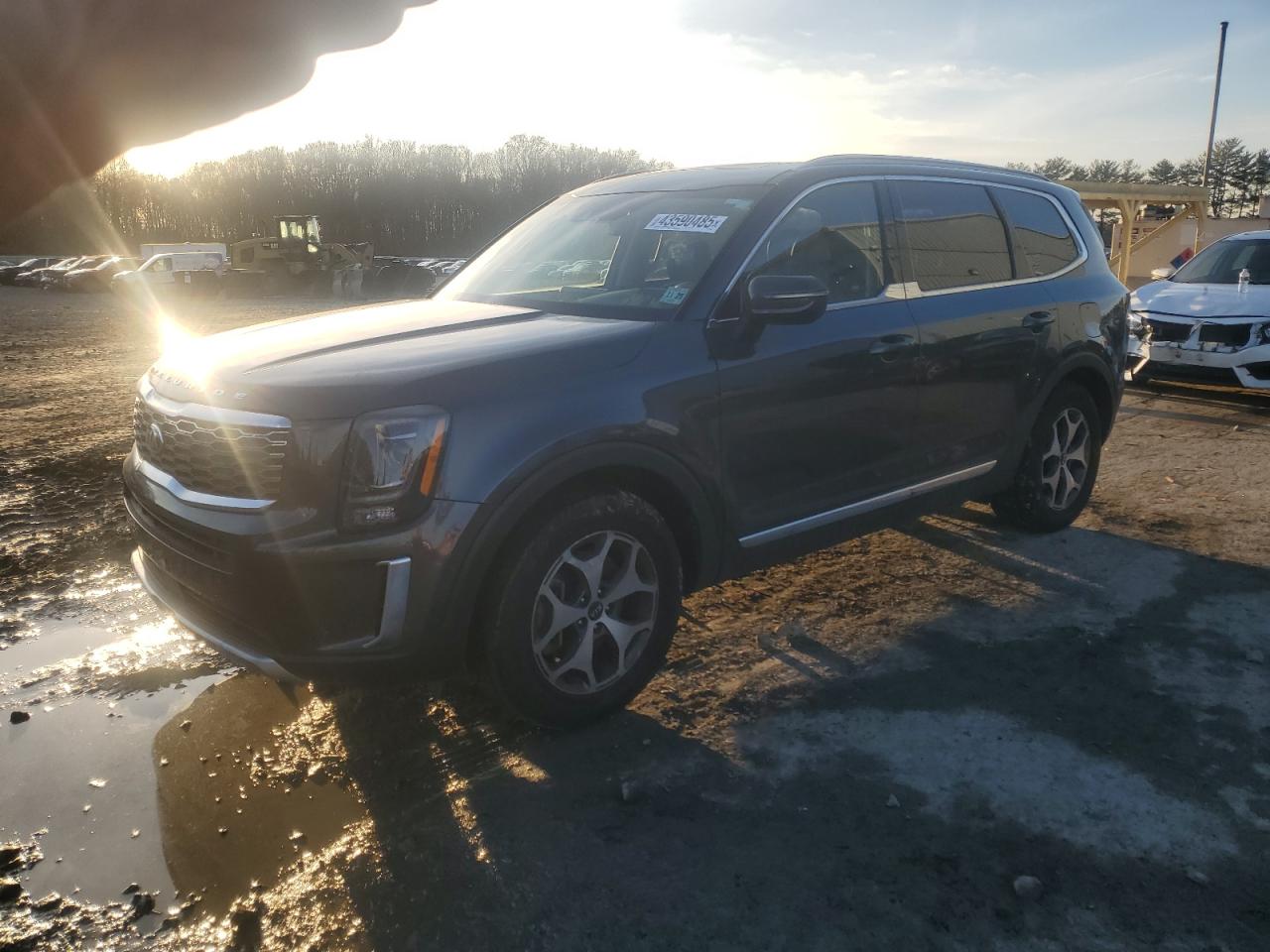2020 KIA Telluride VIN 5XYP3DHCXLG001649