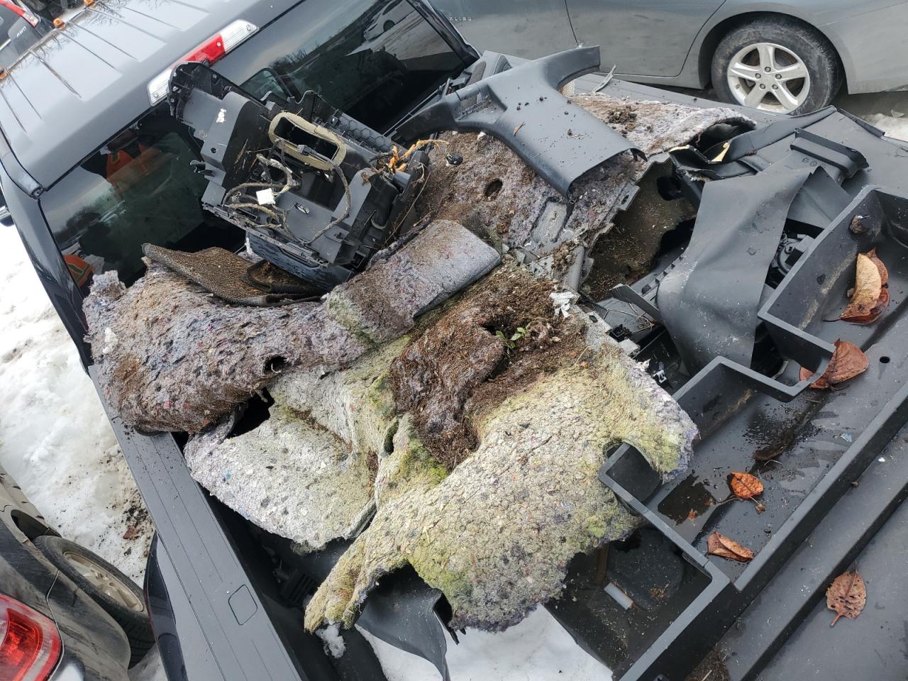 2018 Ford F350 VIN 1FT8W3DT2JEB09684 Copart auction photo, vandalism / water/flood damage thumbnail 12