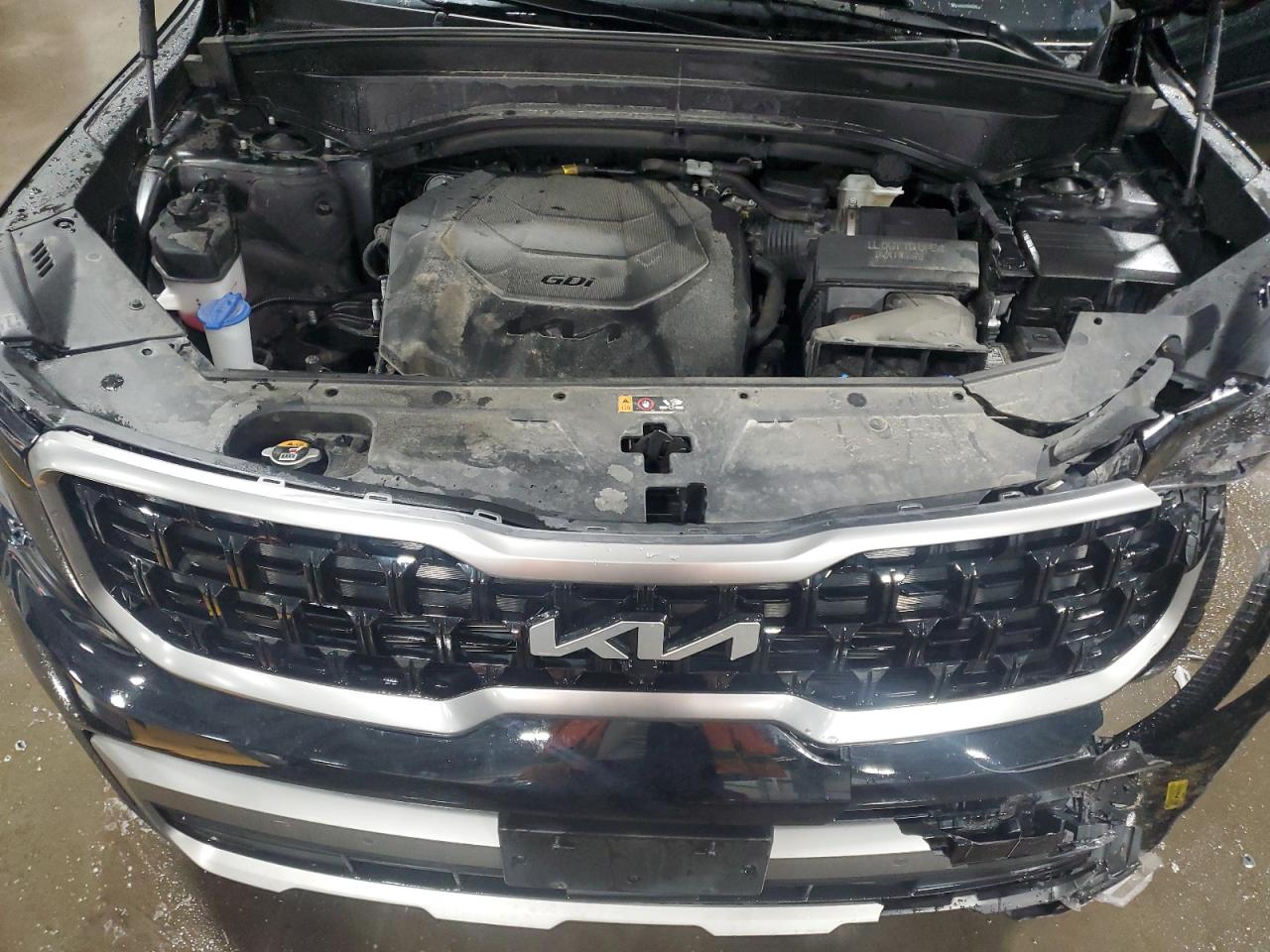 2023 KIA Telluride VIN 5XYP5DGC6PG406098 Copart auction photo, front end / rear end damage thumbnail 13