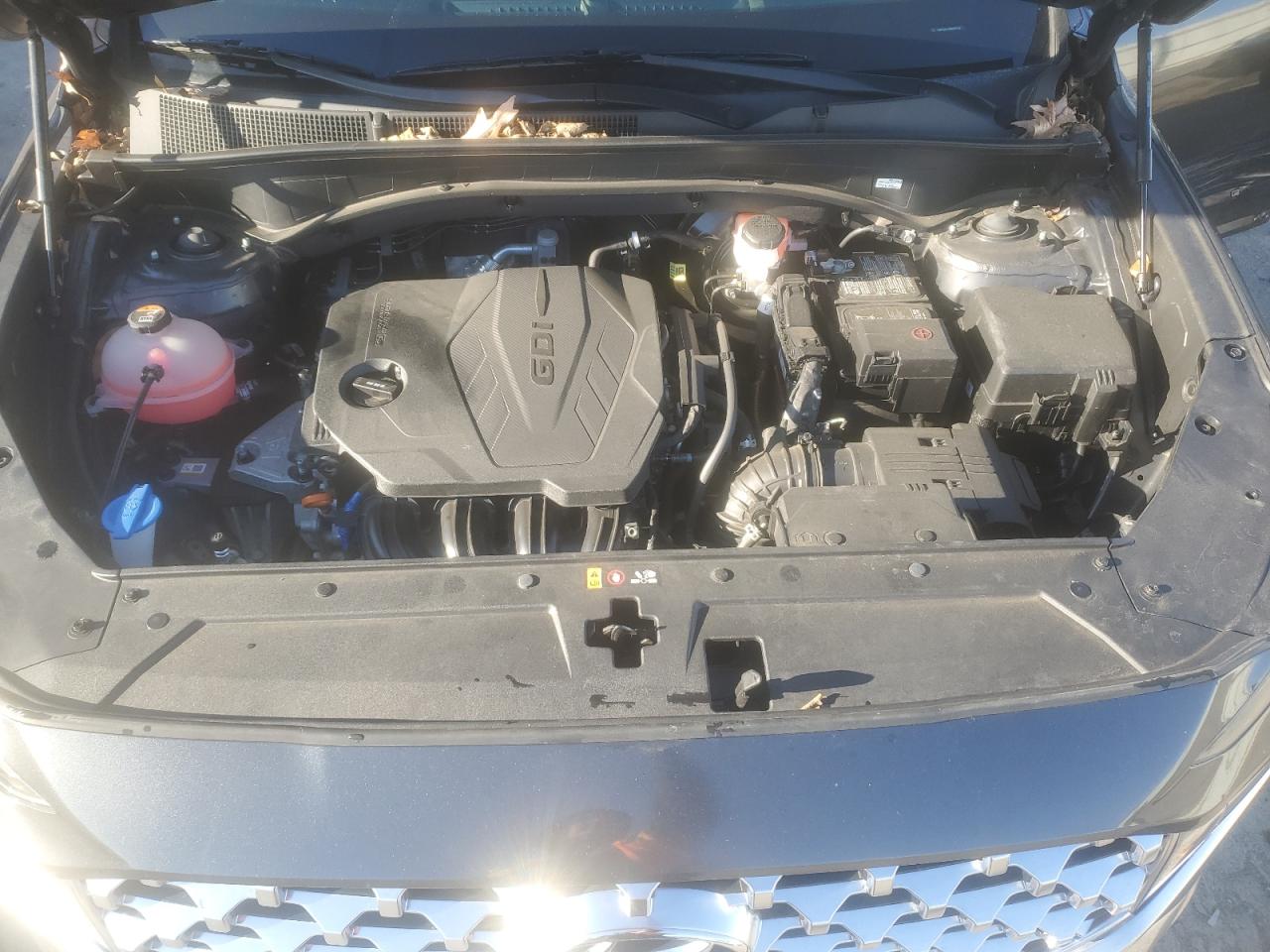 2022 Hyundai Santa Fe VIN 5NMS2DAJ1NH377932 Copart auction photo, side damage thumbnail 12