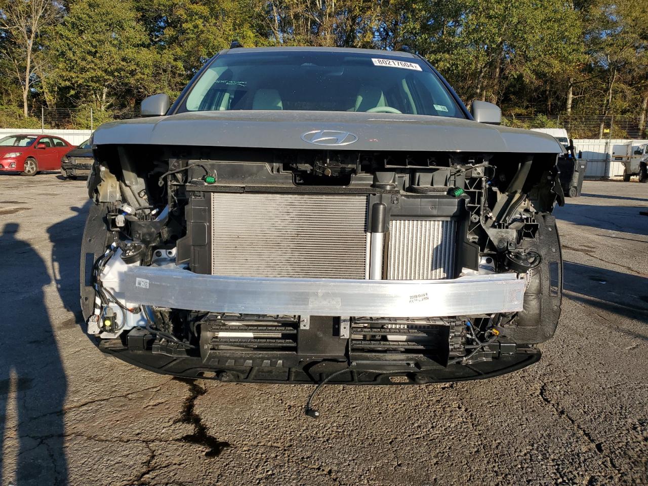 2024 Hyundai Santa Fe VIN 5NMP24GL5RH016238 Copart auction photo, front end damage thumbnail 5