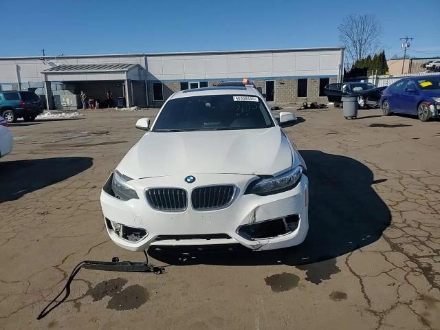 2016 BMW 2er VIN WBA1G9C53GV599689 Copart auction photo, front end damage thumbnail 11