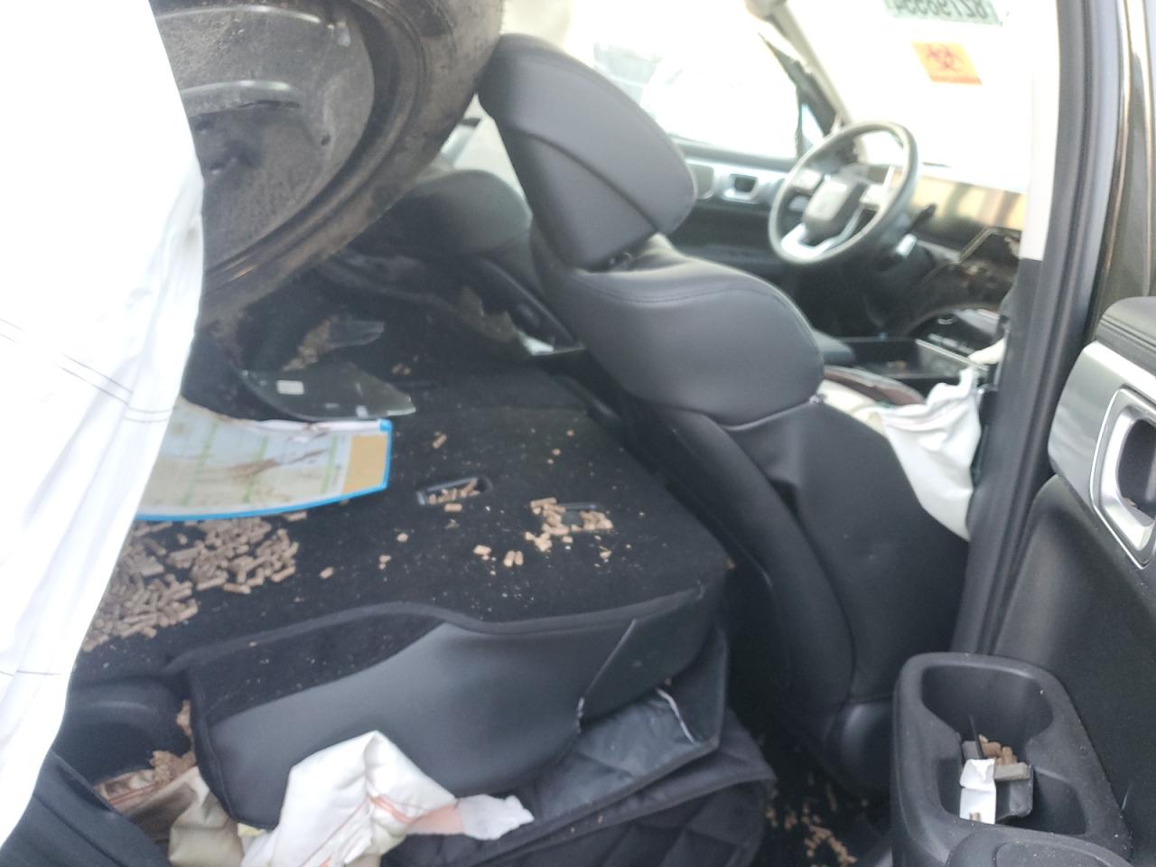 2024 Hyundai Santa Fe VIN 5NMP24GL6RH018645 Copart auction photo, all over damage thumbnail 10