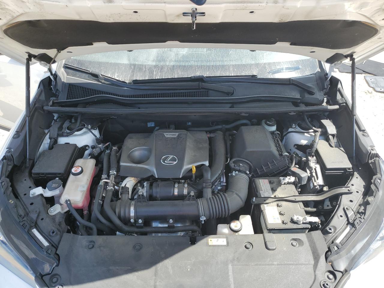 2021 Lexus NX VIN JTJDARBZ9M5030814 Copart auction photo, side damage thumbnail 13