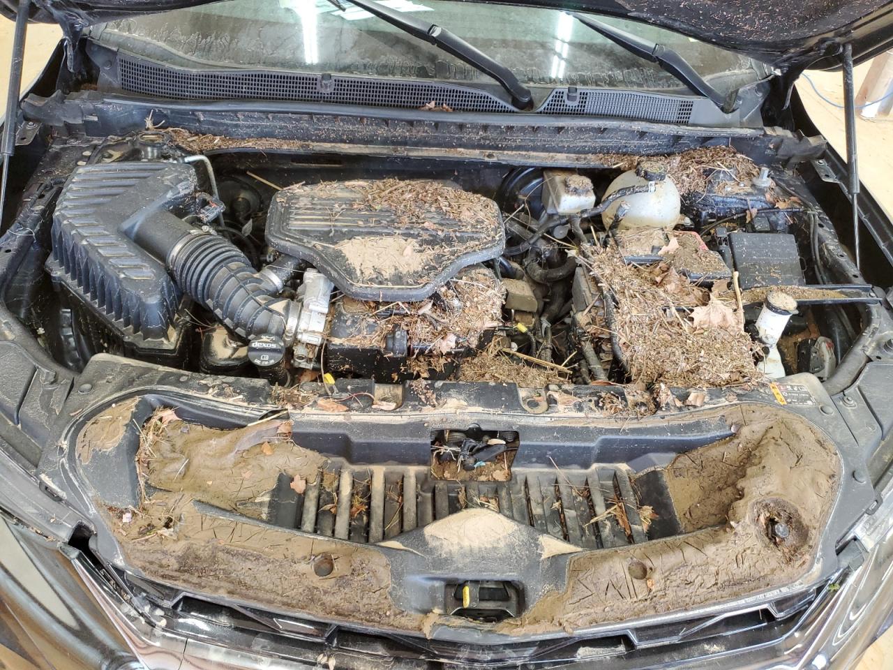 2020 Chevrolet Blazer VIN 3GNKBKRS2LS567270 Copart auction photo, water/flood / front end damage thumbnail 12