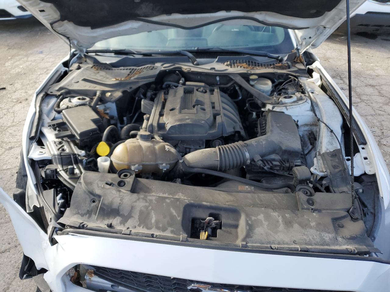 2017 Ford Mustang VIN 1FATP8UH6H5293902 Copart auction photo, front end / minor dent/scratches damage thumbnail 13