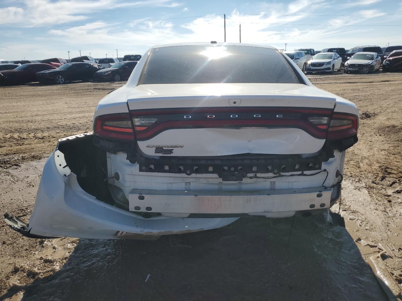 2020 Dodge Charger VIN 2C3CDXBGXLH207424 Copart auction photo, rear end / side damage thumbnail 6