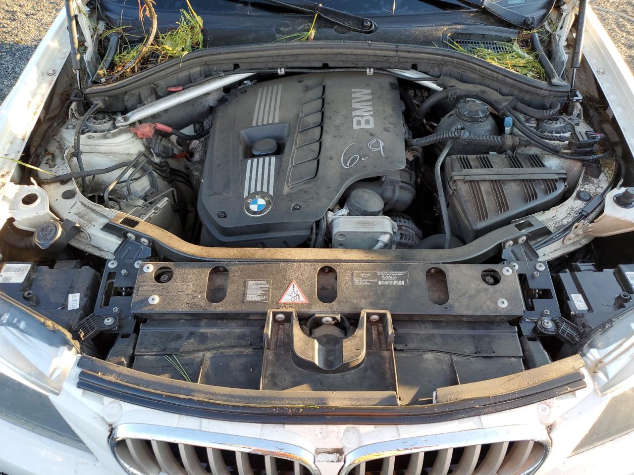 2011 BMW X3 VIN 5UXWX5C55BL709940 Copart auction photo, top/roof damage thumbnail 11