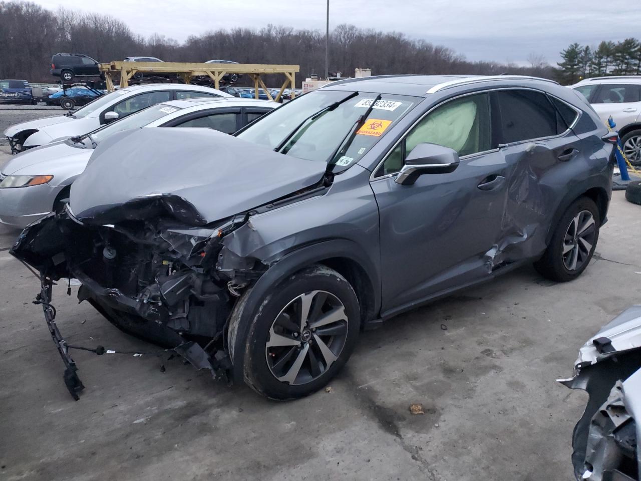 2021 Lexus NX VIN JTJGARDZ2M2247343