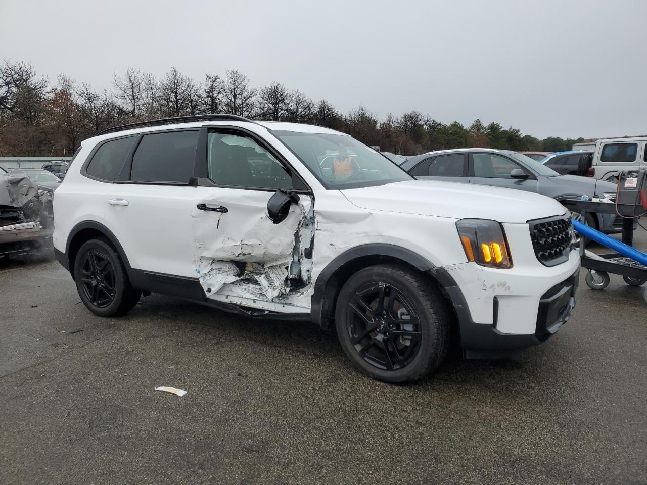 2024 KIA Telluride VIN 5XYP3DGC6RG443600 Copart auction photo, side / minor dent/scratches damage thumbnail 4