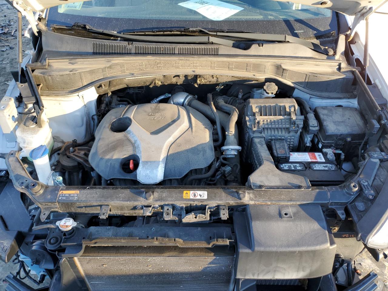 2016 Hyundai Santa Fe VIN 5XYZWDLA1GG333653 Copart auction photo, all over / minor dent/scratches damage thumbnail 12