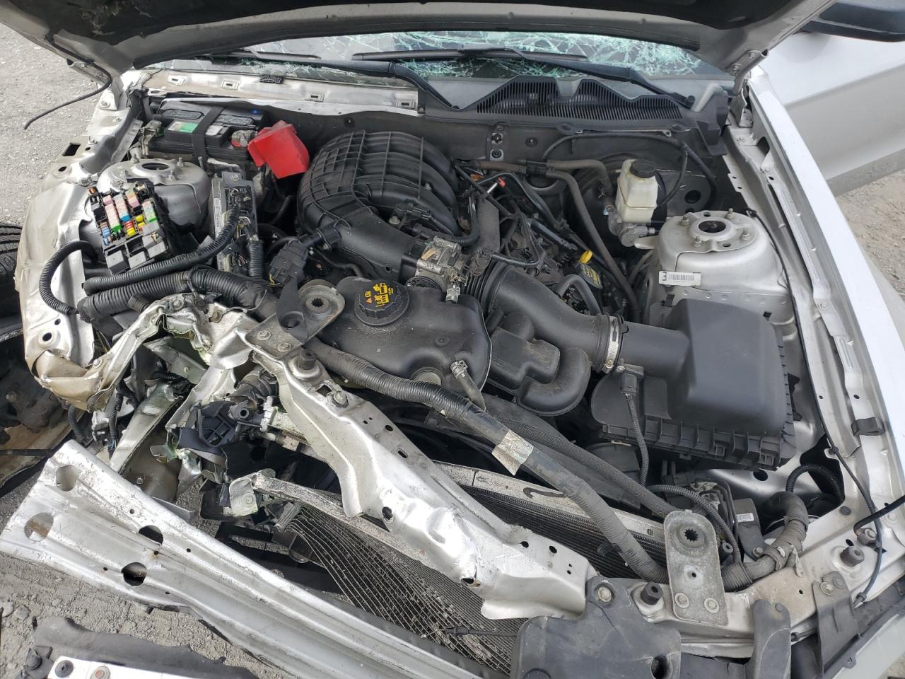 2014 Ford Mustang VIN 1ZVBP8AMXE5202601 Copart auction photo, all over damage thumbnail 11