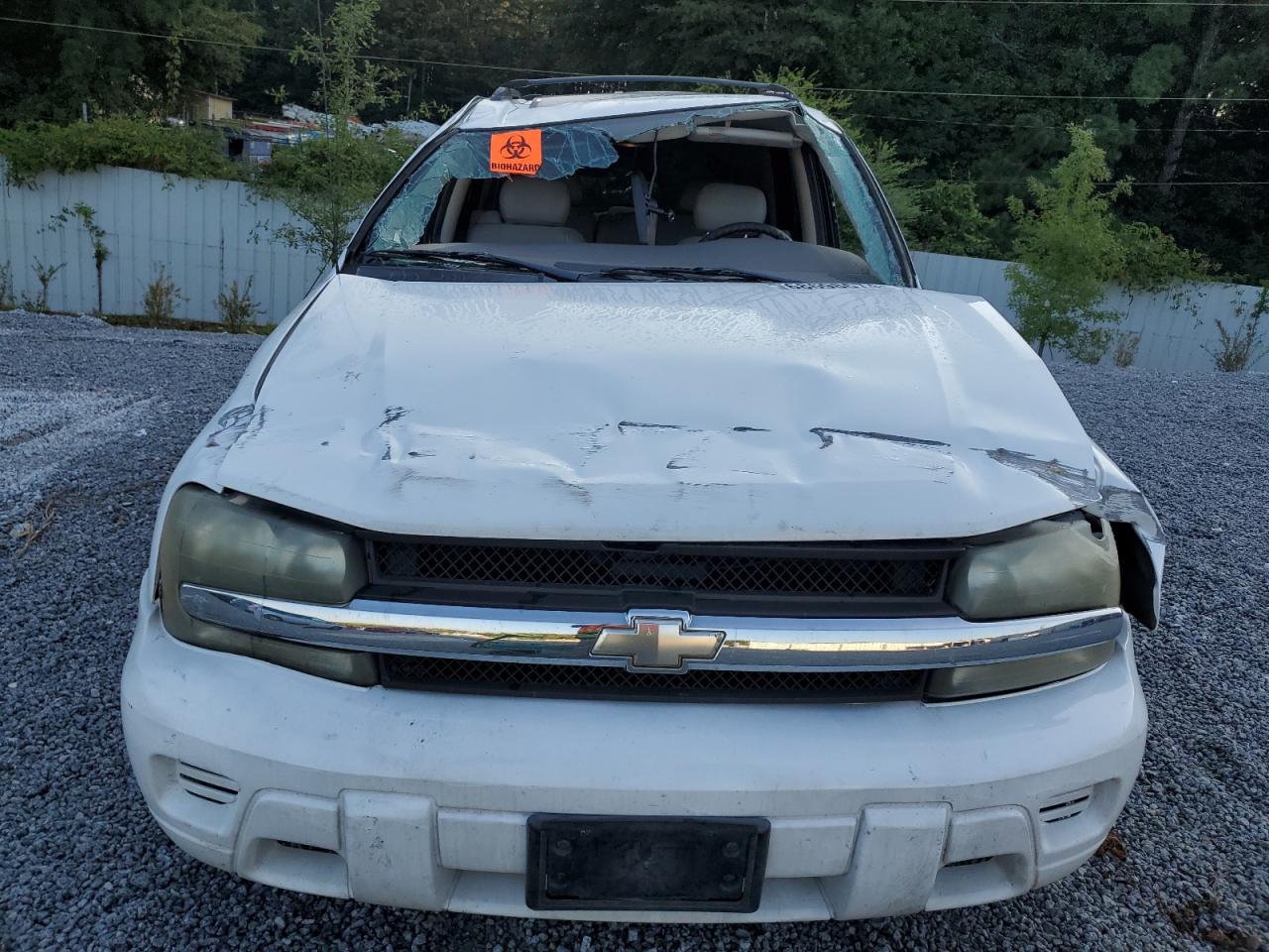 2007 Chevrolet TrailBlazer VIN 1GNDS13S172263201 Copart auction photo, all over damage thumbnail 5